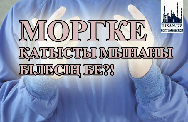 Моргке қатысты мынаны білесің бе?!