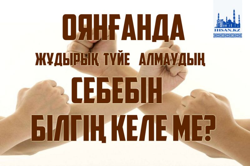 Оянғанда жұдырық түйе алмаудың себебін білгің келе ме?