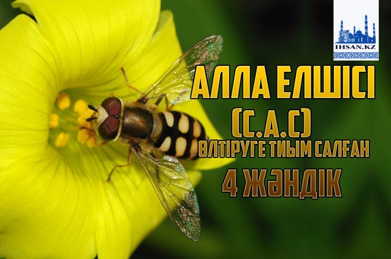 Алла елшісі (с.а.с) өлтіруге тиым салған 4 жәндік