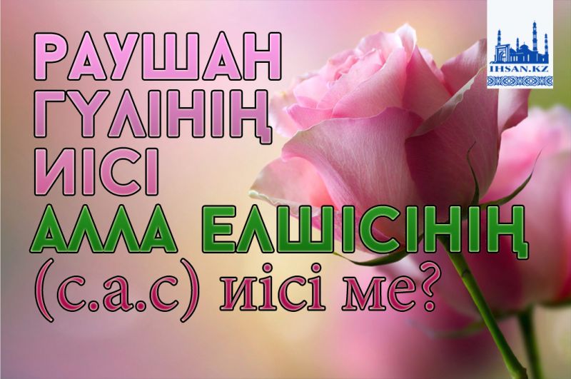 Раушан гүлінің иісі Алла елшісінің (с.а.с) иісі ме?
