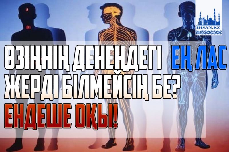 Өзіңнің денеңдегі ең лас жерді білмейсің бе? Ендеше оқы