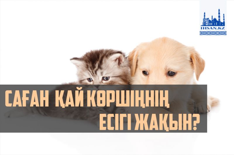Саған қай көршіңнің есігі  жақын?