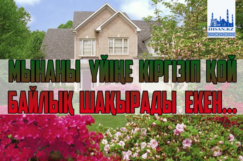 Мынаны үйіңе кіргізіп қой. Байлық шақырады екен...