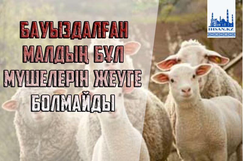 Бауыздалған малдың бұл мүшелерін жеуге болмайды