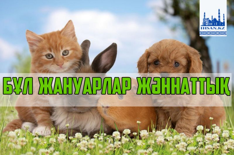 Бұл жануарлар жәннаттық