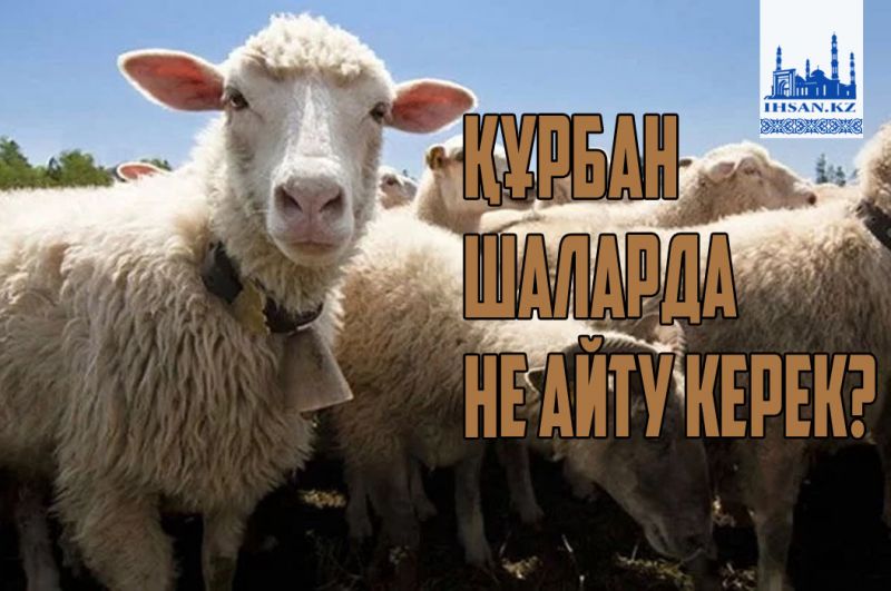 Құрбан шаларда не айту керек?