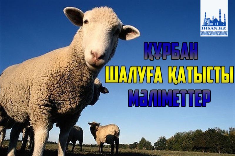 Құрбан шалуға қатысты мәліметтер