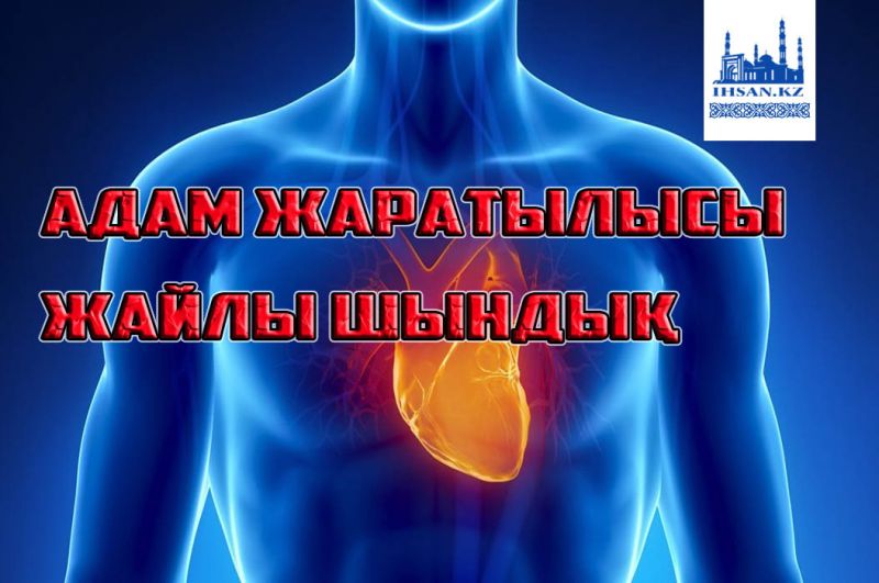 АДАМ ЖАРАТЫЛЫСЫ ЖАЙЛЫ ШЫНДЫҚ