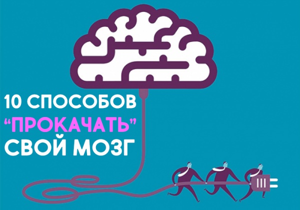 10 безотказных способов развить свой интеллект и повысить эрудицию
