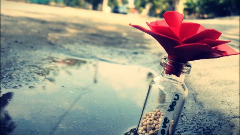 Понятие любви в Исламе