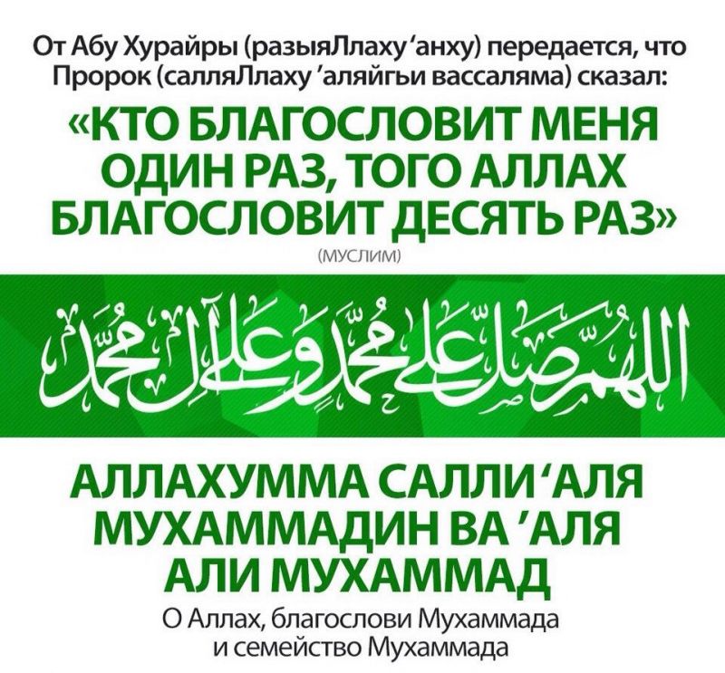 О достоинствах салавата