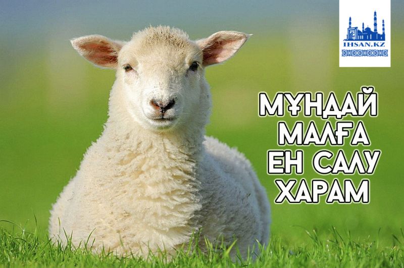 Мұндай малға ен салу харам