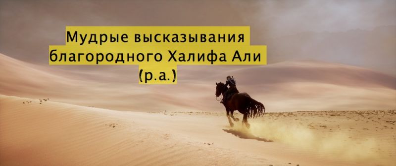 Мудрые высказывания благородного Халифа Али  (да будет доволен им Аллах)
