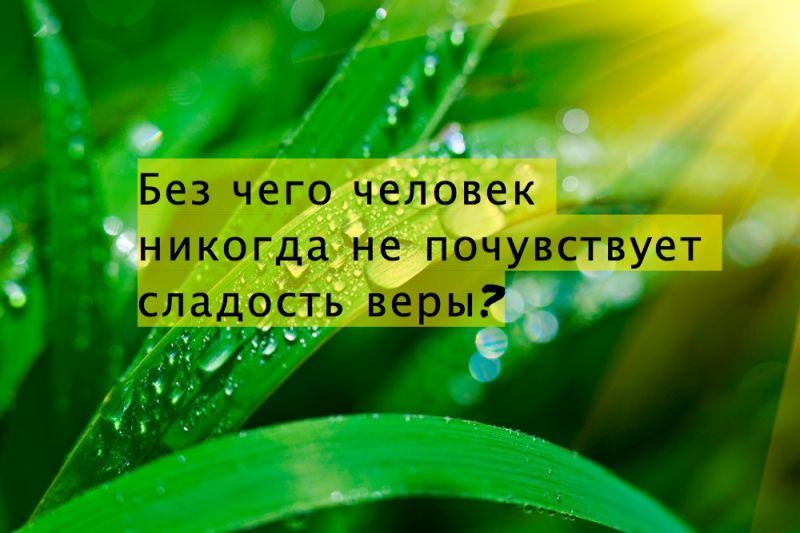 Без чего человек никогда не почувствует сладость веры?