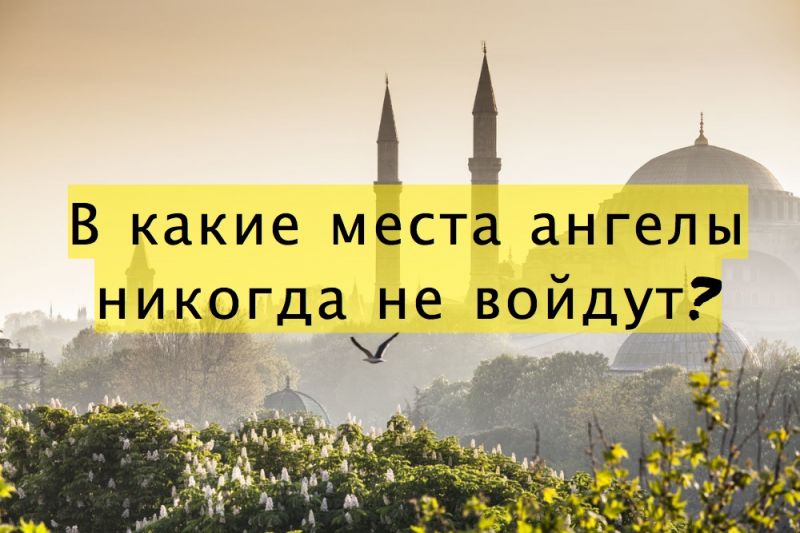 В какие места ангелы никогда не войдут?