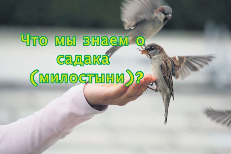 Что мы знаем о садака (милостыни)?