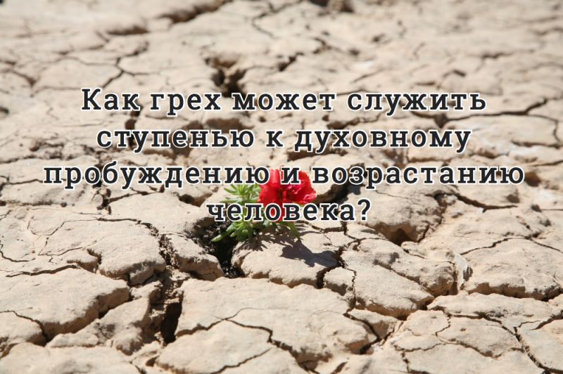 Как грех может служить ступенью к духовному пробуждению и возрастанию человека?