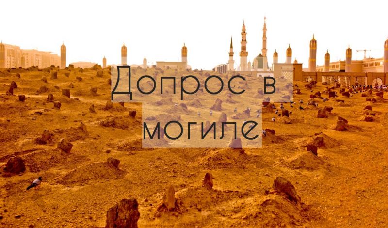 Допрос в могиле