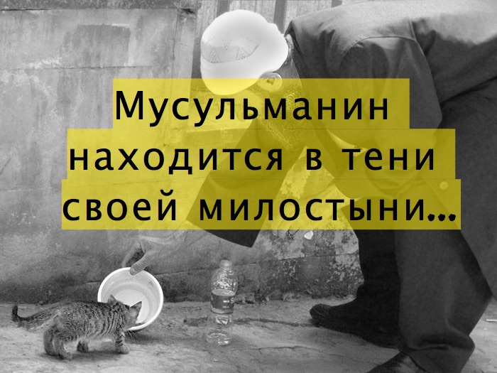 Мусульманин находится в тени своей милостыни…