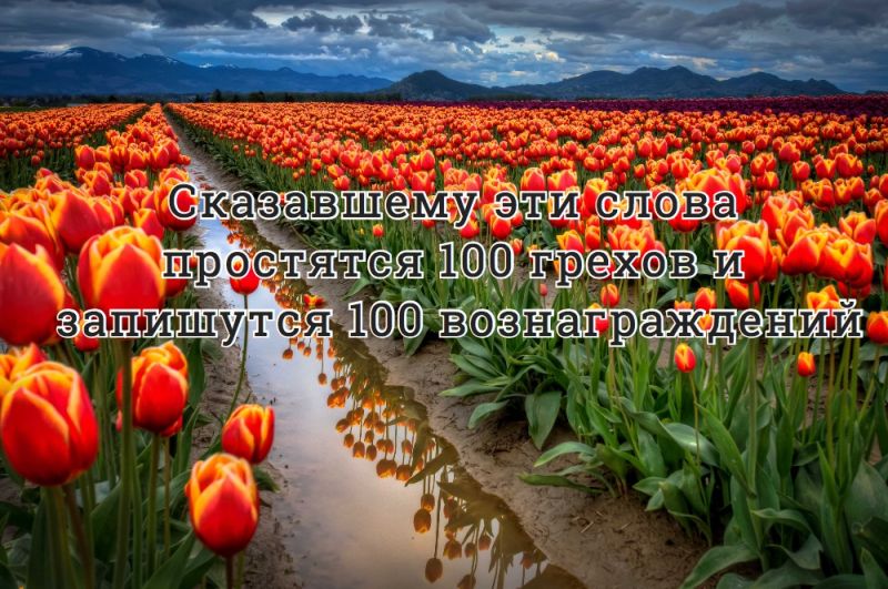 Сказавшему эти слова простятся 100 грехов и запишутся 100 вознаграждений