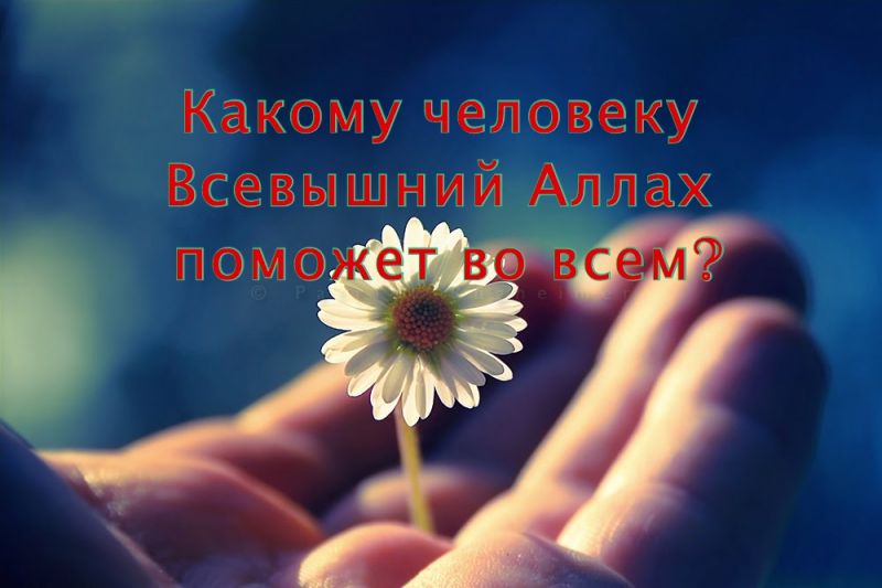 Какому человеку Всевышний Аллах поможет во всем?