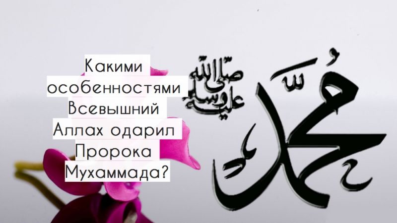 Какими особенностями Всевышний Аллах одарил Пророка Мухаммада?