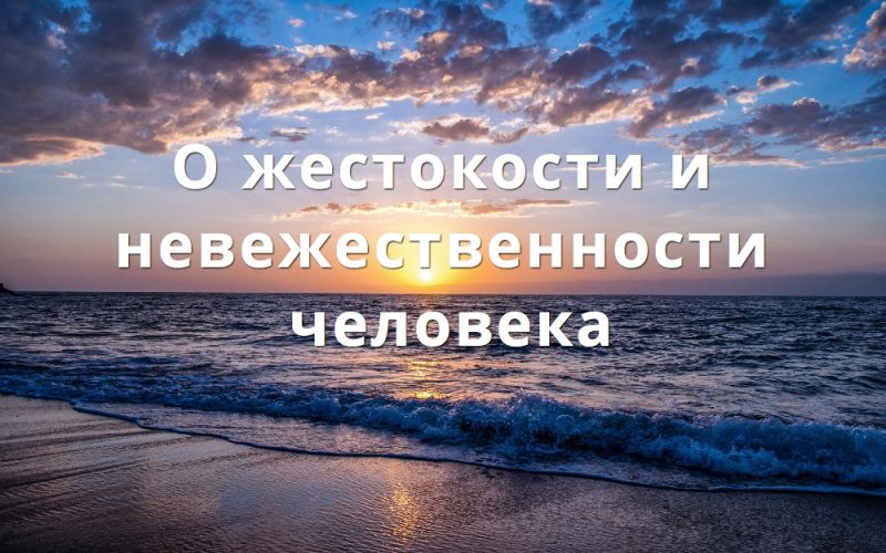 О жестокости и невежественности человека