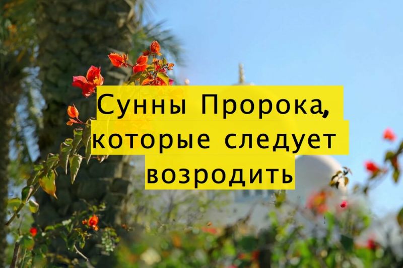 Сунны Пророка, которые следует возродить