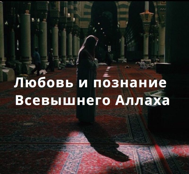 Любовь и познание Всевышнего Аллаха