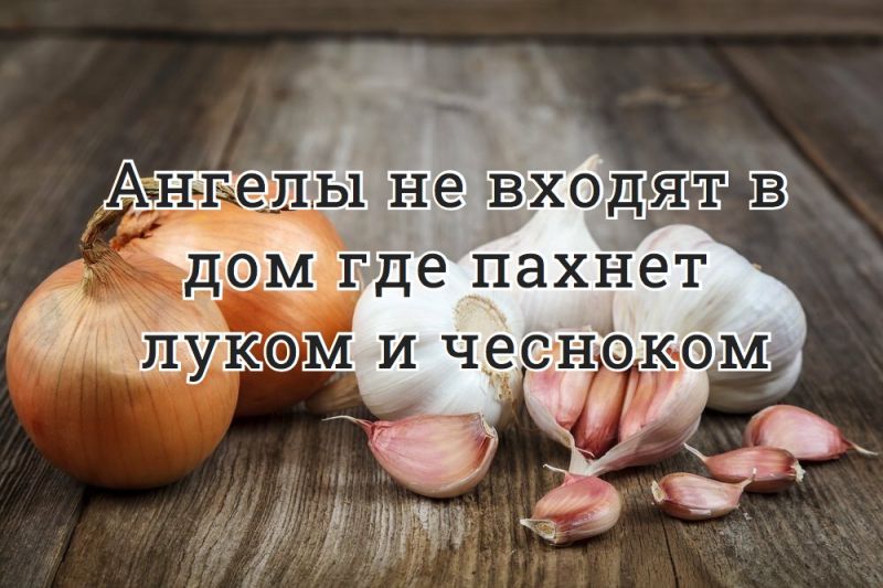 Ангелы не входят в дом где пахнет луком и чесноком