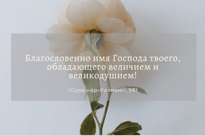 Сура, дающая спокойствие даже в самых тяжелых ситуациях