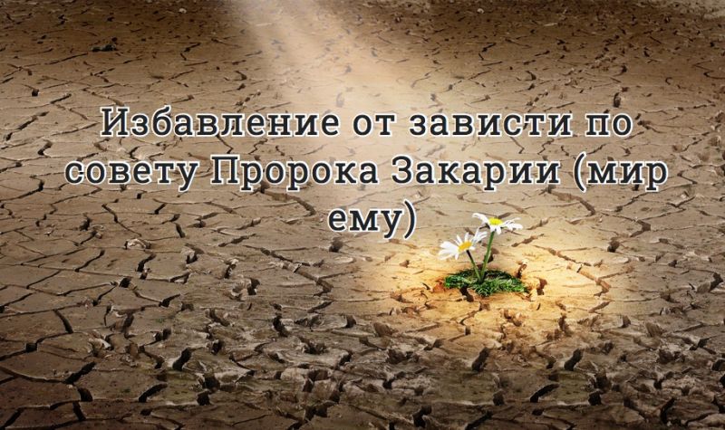 Избавление от зависти по совету Пророка Закарии (мир ему)