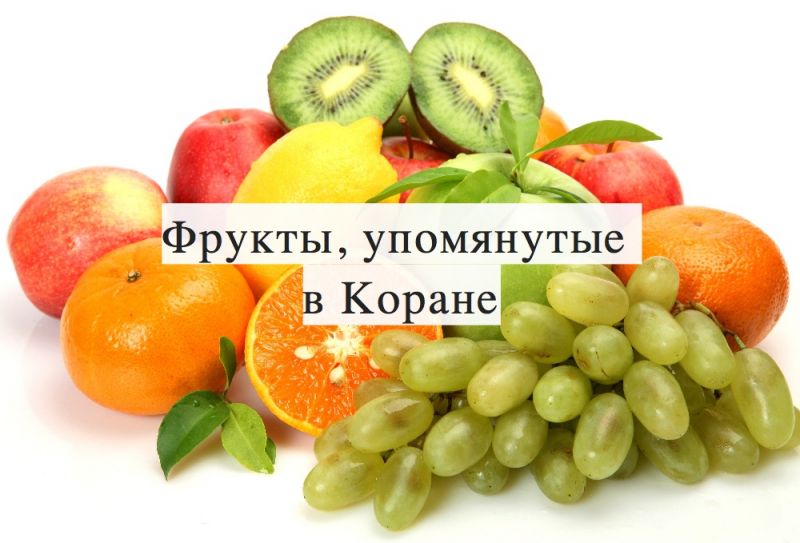 Фрукты, упомянутые в Коране