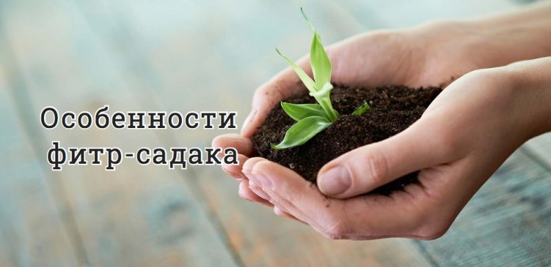 Особенности фитр-садака