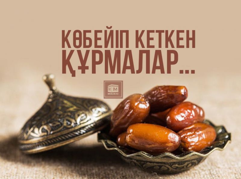 Көбейіп кеткен құрмалар...