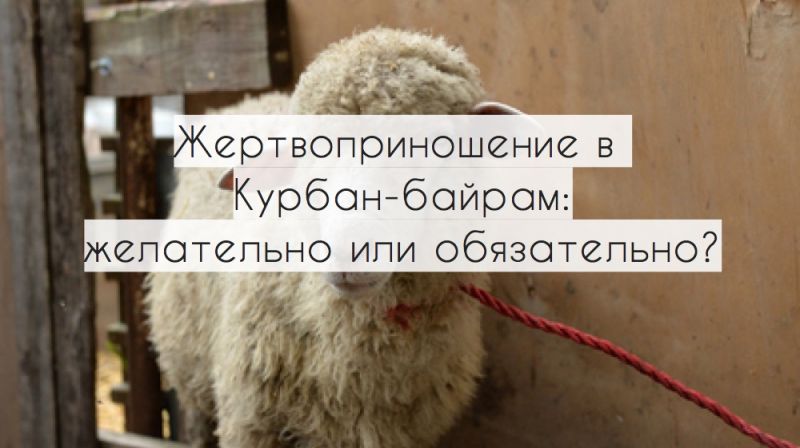 Жертвоприношение в Курбан-байрам:  желательно или обязательно?