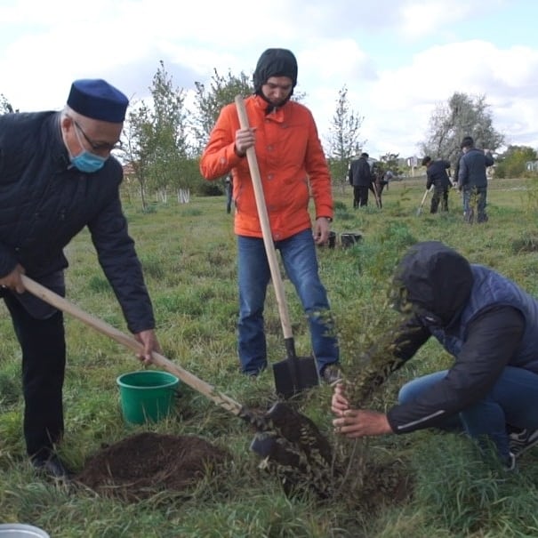 Қарағандыда «Бір мезетте 30 000 түп тал отырғызу» акциясы    жүзеге асты