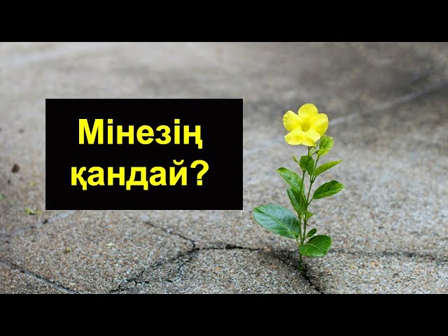 Мінезің қандай ?  ВИДЕО
