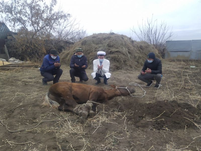 Нұра ауданында мәуліт мерекесінің құрметіне қайырымдылық жүзеге асты