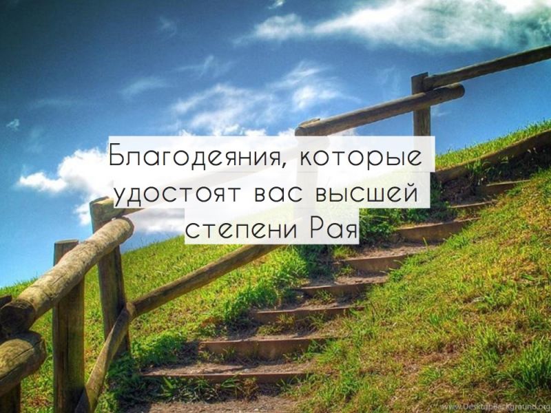 Благодеяния, которые удостоят вас высшей степени Рая
