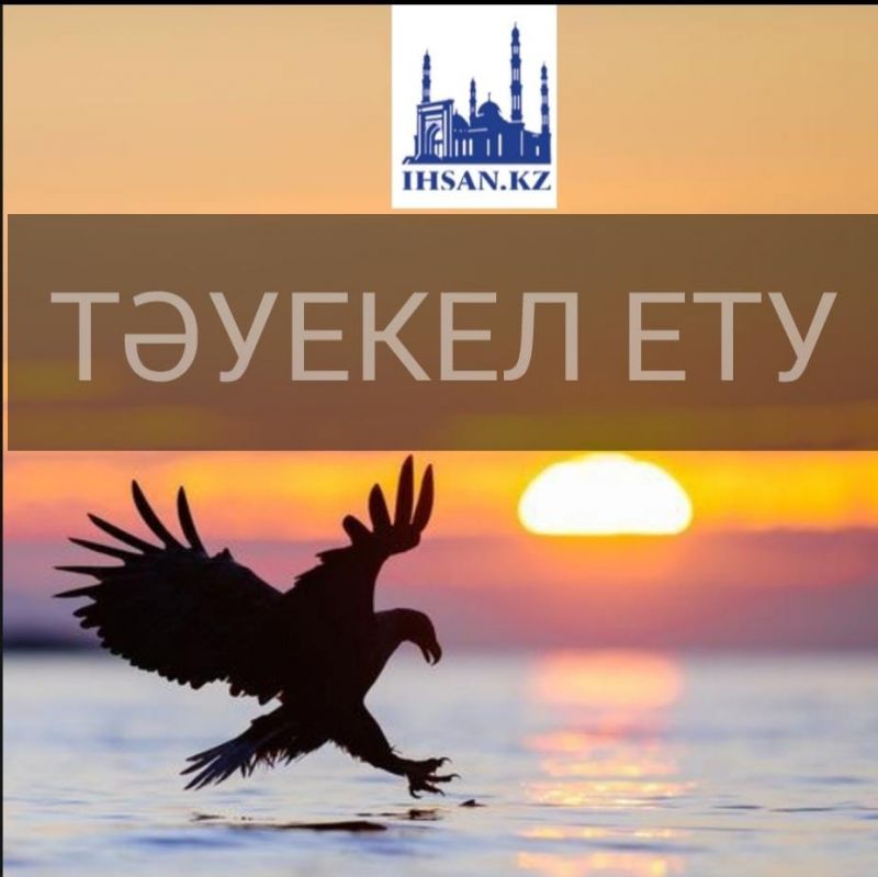                                                                            Тәуекел