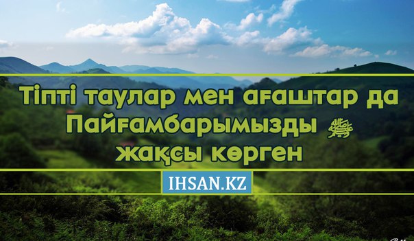 Тіпті таулар мен ағаштар да Пайғамбарымызды (ﷺ) жақсы көрген