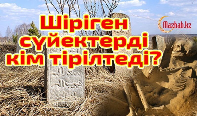 ШІРІГЕН СҮЙЕКТЕРДІ КІМ ТІРІЛТЕДІ?