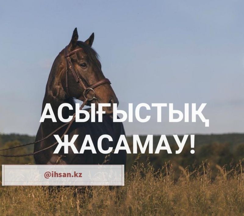 Асығыстық жасамау